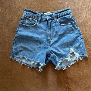 Curve Love 4” Mom Short High Rise